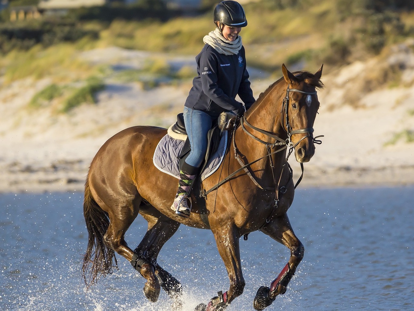 Paseos a caballo